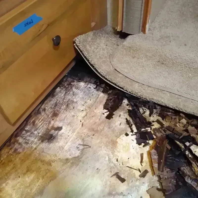 Best Wood Floor Water Damage Service in Carrollton, OH